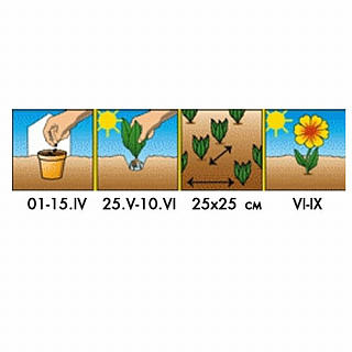 Разноцветный