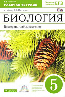 Разноцветный